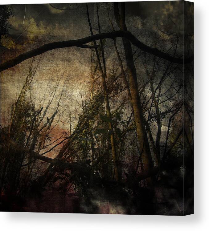 Trees Canvas Print featuring the digital art Trees No. 5 by No Alphabet
