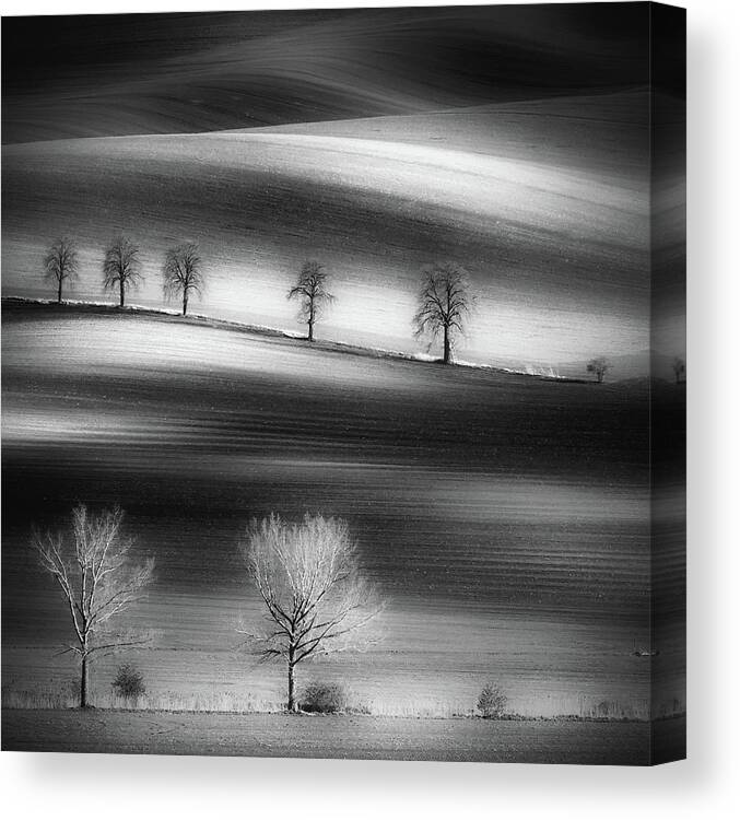 Landscape Canvas Print featuring the photograph Trees by Piotr Krol (bax)