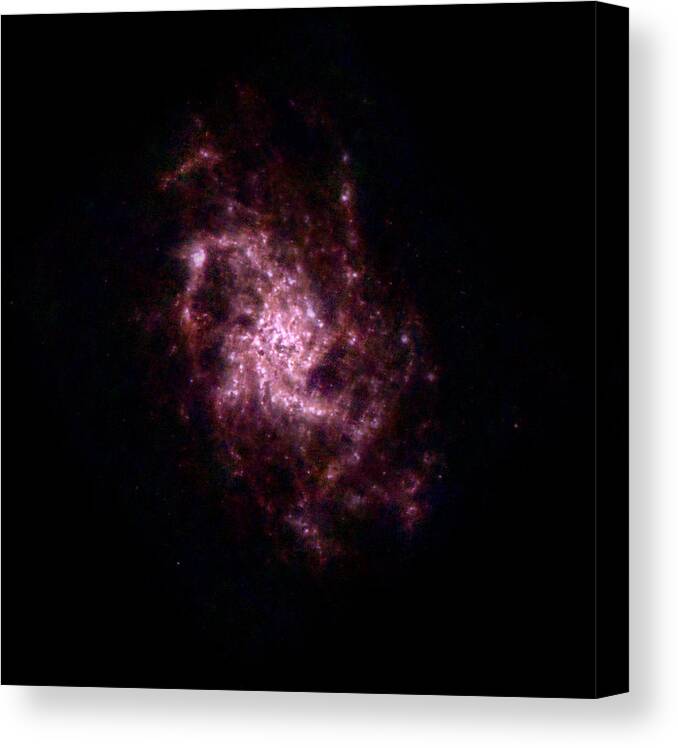 Galaxy Canvas Print featuring the photograph Triangulum Galaxy M33 by Science Source