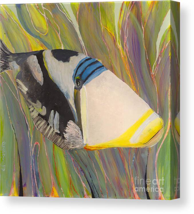 Triggerfish Canvas Print featuring the painting Triggerfish 2 by Anna Skaradzinska