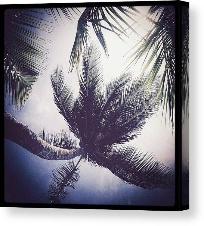 Bikini Canvas Print featuring the photograph Trying To Maintain The #island #vibe In by Nicole Sweet