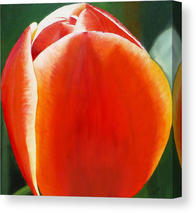 Flower Canvas Print featuring the painting Tulip by Claudia Goodell