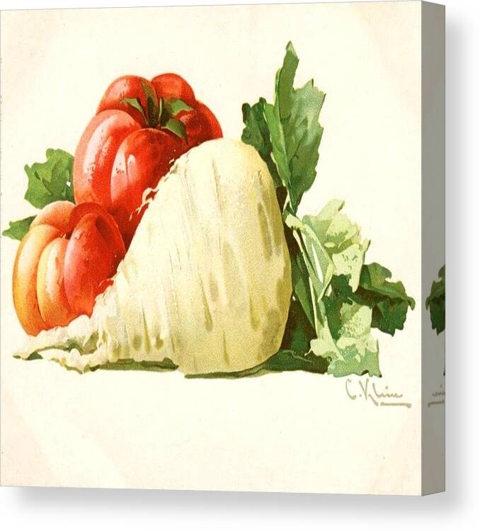 Food Canvas Print featuring the painting Turnip And Tomato by Florene Welebny