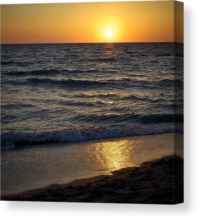 Sarasota Canvas Print featuring the photograph #turtlebeach #sunset This Evening Here by Cody Haskell