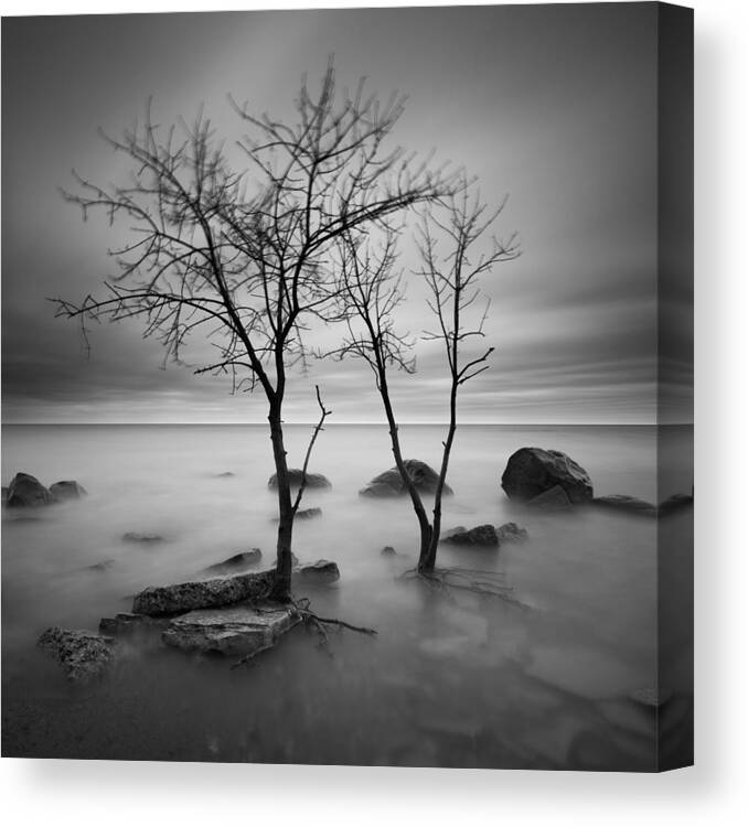 Rocky Point Lake Michigan Wisconsin Long Exposure Trees Canvas Print featuring the photograph Two Trees Walking by Josh Eral