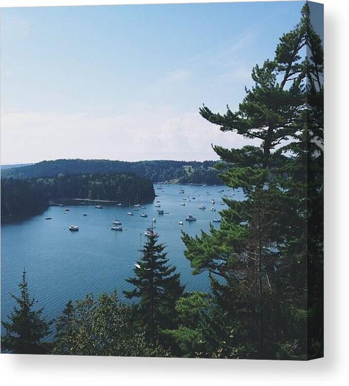 Atlantic Canvas Print featuring the photograph Until We Meet Again, Maine. You Have by Amanda Schoonover