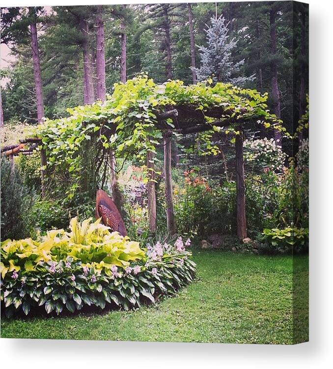  Canvas Print featuring the photograph Upper Michigan Garden I I by Susan Bochantin