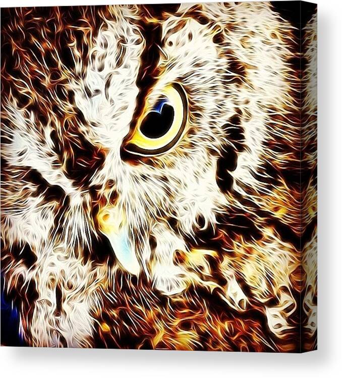 Owl Canvas Print featuring the photograph Used Ios #tangledfx - Custom by Laura OConnell
