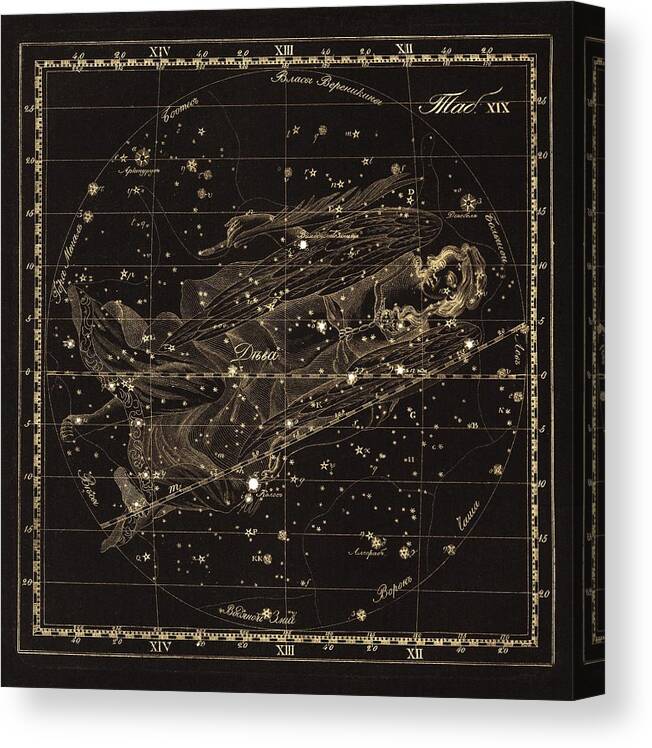 Virgo Canvas Print featuring the photograph Virgo constellation, 1829 by Science Photo Library