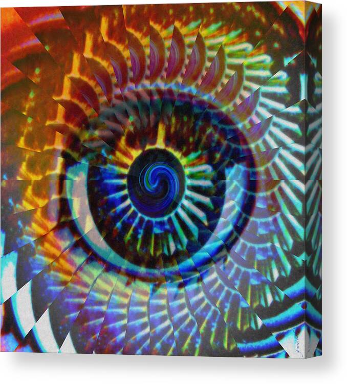 Abstract Canvas Print featuring the photograph Visionary by Gwyn Newcombe