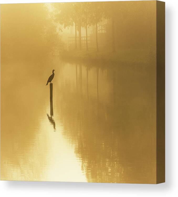 Landscape Canvas Print featuring the photograph Waiting For The Sun .......... by Piet Haaksma