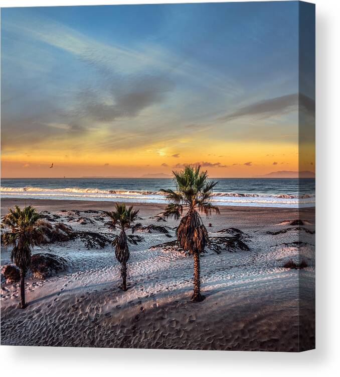 California Canvas Print featuring the photograph Wake up for Sunrise in California by Ludmila Nayvelt