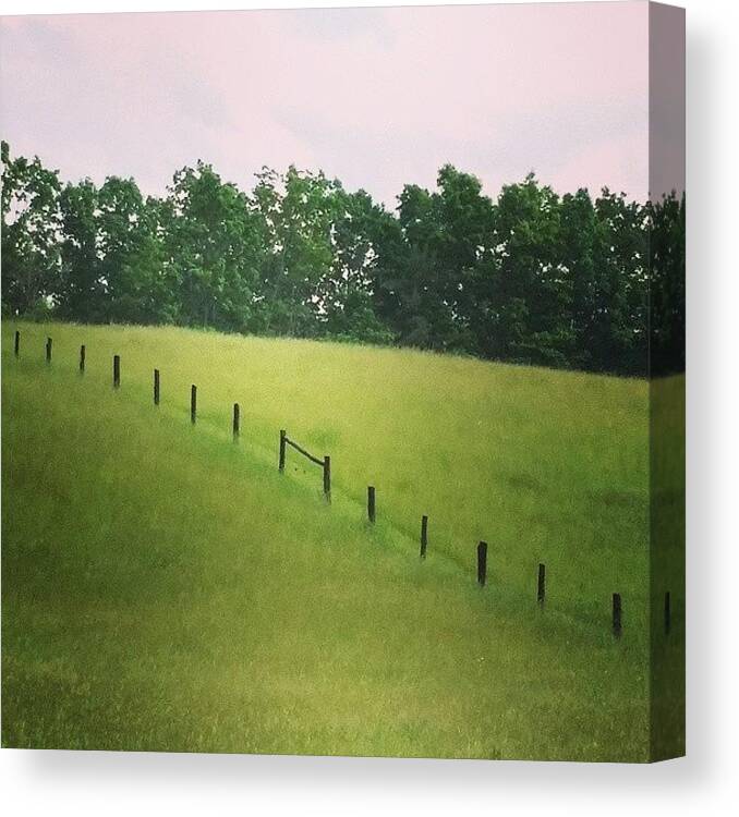  Canvas Print featuring the photograph Was Driving And Saw This Lovely Field by Melissa Petrey