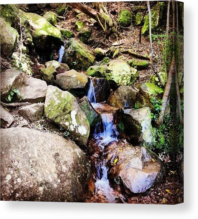 Water Canvas Print featuring the photograph #waterfall #water #rocks #trail by Carine Martch