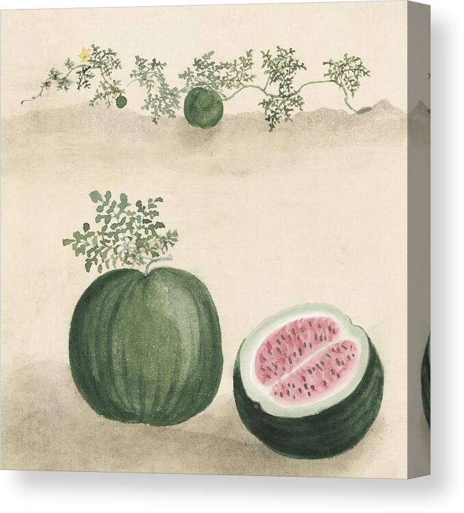 Watermelon Canvas Print featuring the digital art Watermelon by Aged Pixel