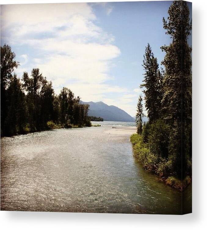 Glacier Canvas Print featuring the photograph Wayward Water by David Holtz