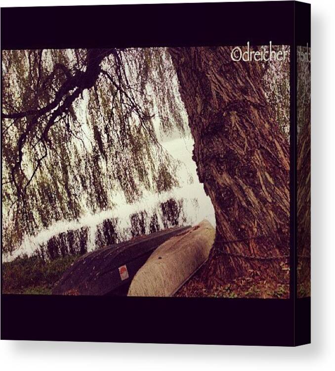 Dontstealitsnotnice Canvas Print featuring the photograph #weeping #willow #weepingwillow #nature by Denise Reicher