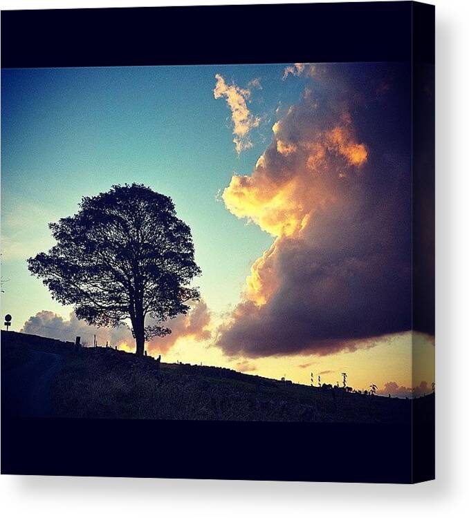 Skycaptures Canvas Print featuring the photograph #weetshill #favouritetree #road #trees by David Cockell