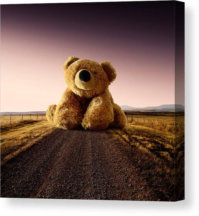 Bear Canvas Print featuring the photograph Where The Road Ends by George Christakis