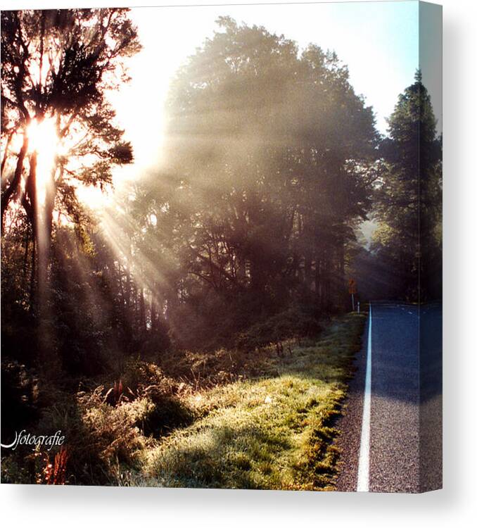 New Zealand Canvas Print featuring the photograph Where the Road Ends by Matt Mayer