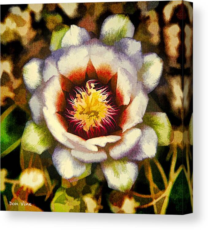 Abstract Canvas Print featuring the photograph White Cactus Blossom by Don Vine