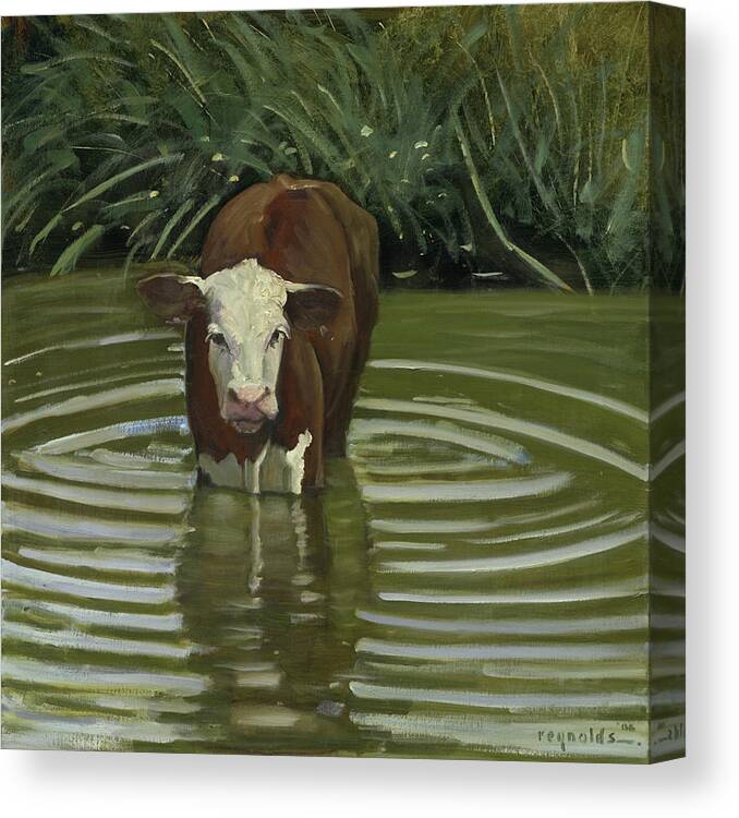  Canvas Print featuring the painting White Face Herford in the Pond by John Reynolds
