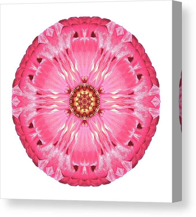 Flower Canvas Print featuring the photograph Light Red Zinnia Elegans V Flower Mandala White by David J Bookbinder