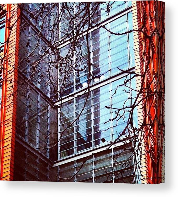 Urban Canvas Print featuring the photograph #windows #reflection #branches by Elisabeth Ostreng