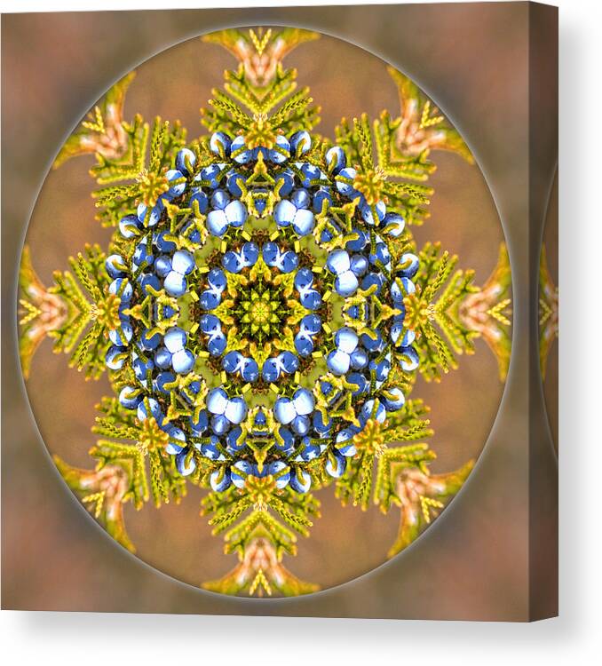  Canvas Print featuring the photograph Winter Solstice Mandala by Beth Sawickie