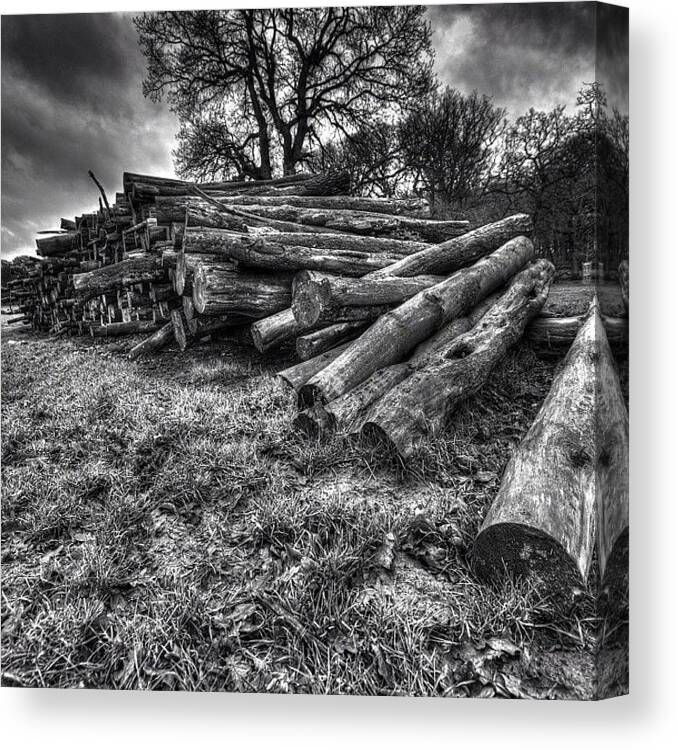  Canvas Print featuring the photograph Woodpile At Harewood House by Carl Milner