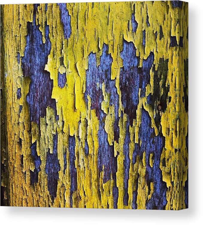  Canvas Print featuring the photograph Yellow Paint! by Norbert Cristia