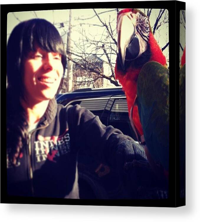 Awesome Canvas Print featuring the photograph Yes That's A Parrot On My Arm! Harley by Elizabeth DeMartino
