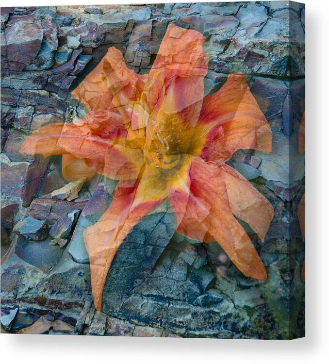 Rock Canvas Print featuring the photograph Yin and Yang by Jennifer Kano