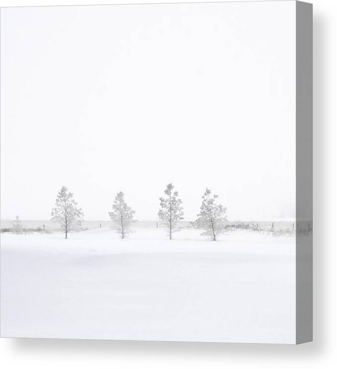 Winter Canvas Print featuring the photograph You're Hardly There by Sandra Parlow