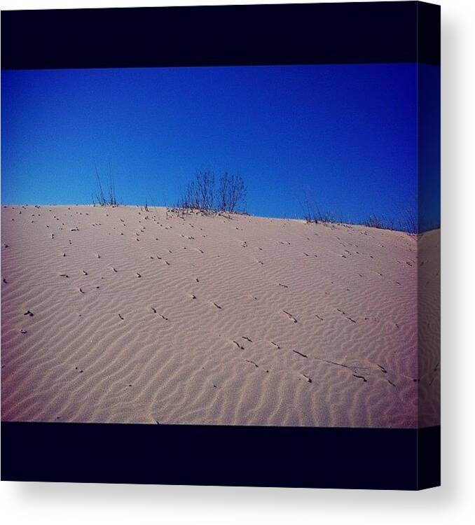  Canvas Print featuring the photograph { Speckled Sand } by Jenni Munoz