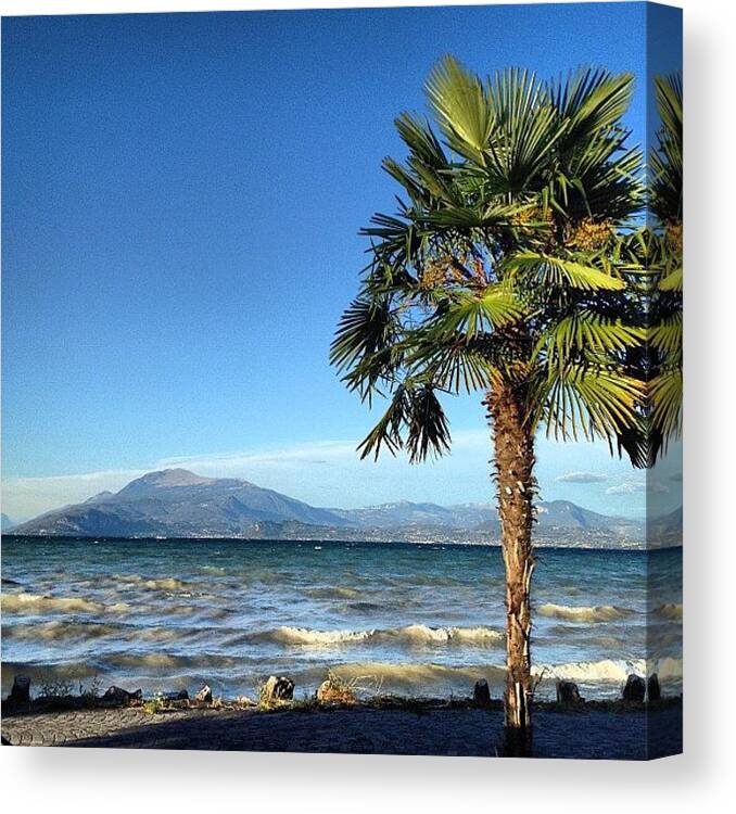 Instaworld_love Canvas Print featuring the photograph 🌊 Such A Nice Day 🌴 by Nancy Nancy