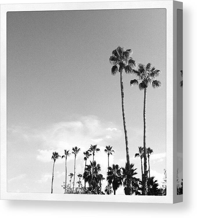  Canvas Print featuring the photograph ▼▲ #1 by Mermaid Lifee