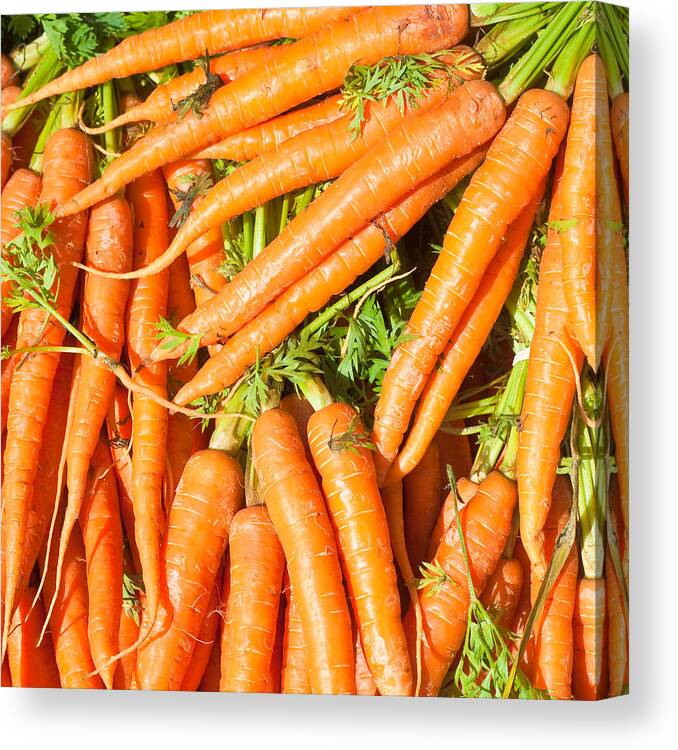 Agriculture Canvas Print featuring the photograph Carrots #1 by Tom Gowanlock
