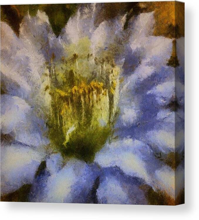 Flower Canvas Print featuring the photograph Desert Bloom #1 by Marco Prado