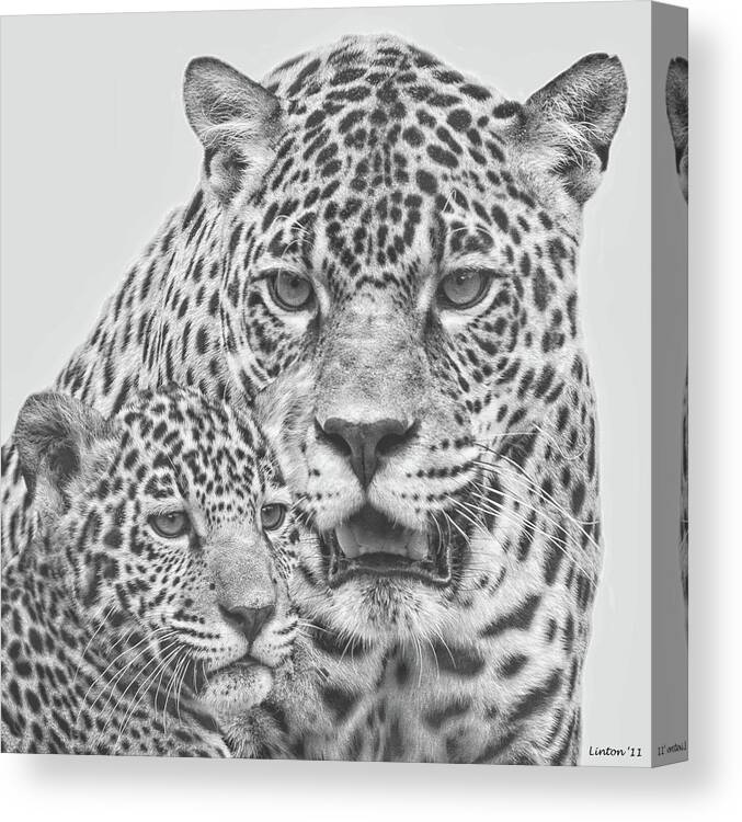 Jaguar Canvas Print featuring the digital art Female Jaguar And Cub #1 by Larry Linton