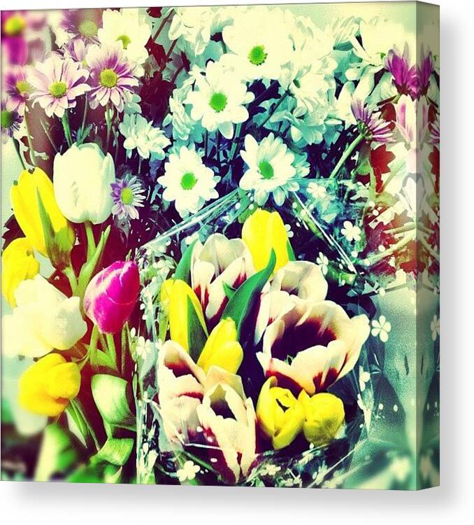Flowers Canvas Print featuring the photograph Flowers #1 by Jane Bulatnikova