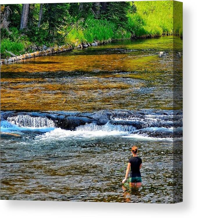 All_photos Canvas Print featuring the photograph Fly Fishing On The Lewis River #1 by Chris Bechard