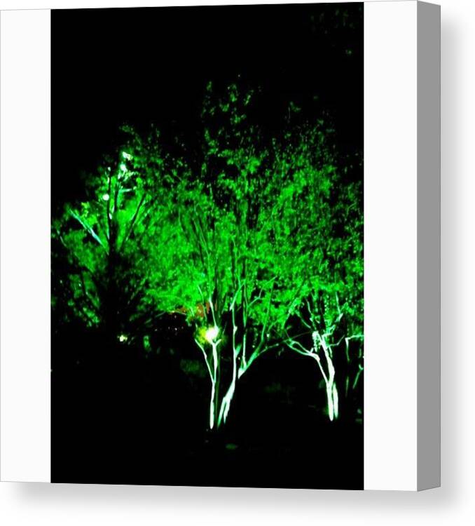Naturescene Canvas Print featuring the photograph Here Are 3 Separate Edits Of The Same #1 by Clifford McClure