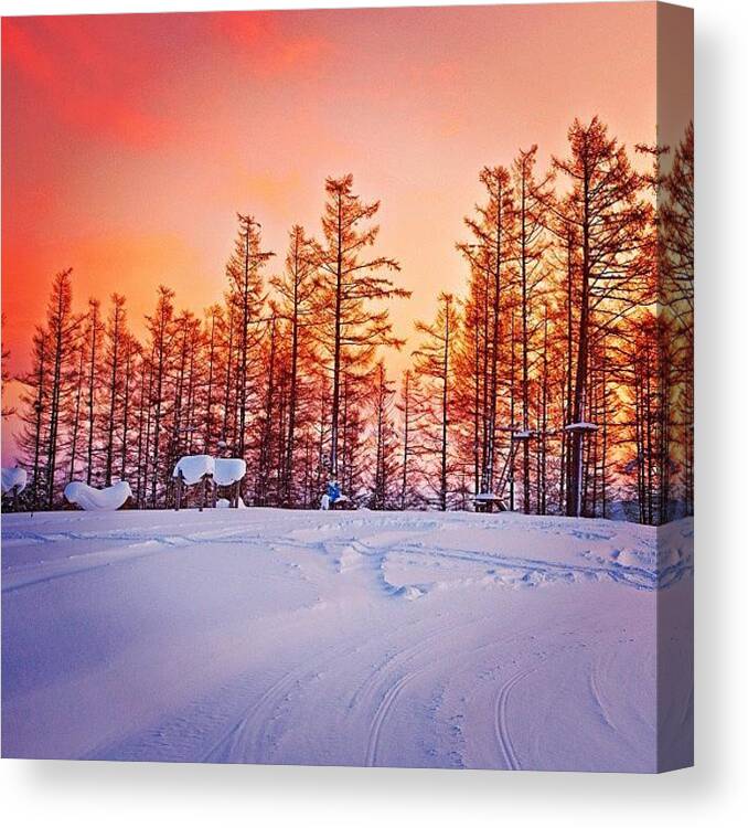 Beautiful Canvas Print featuring the photograph #instahub #instagood #instalove #1 by Tommy Tjahjono