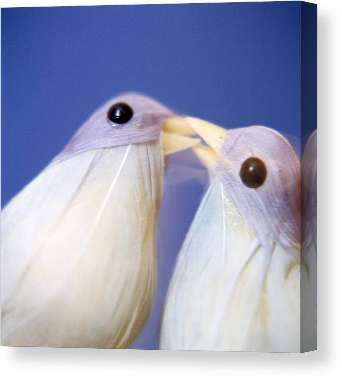 Love Birds Canvas Print featuring the photograph Love Birds #1 by Cristina Pedrazzini