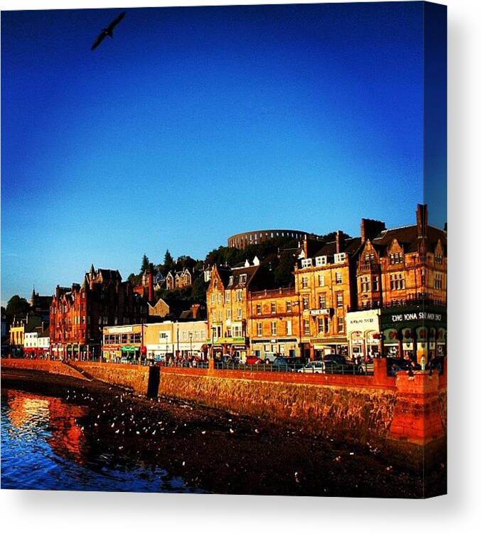 City Canvas Print featuring the photograph Oban #1 by Luisa Azzolini