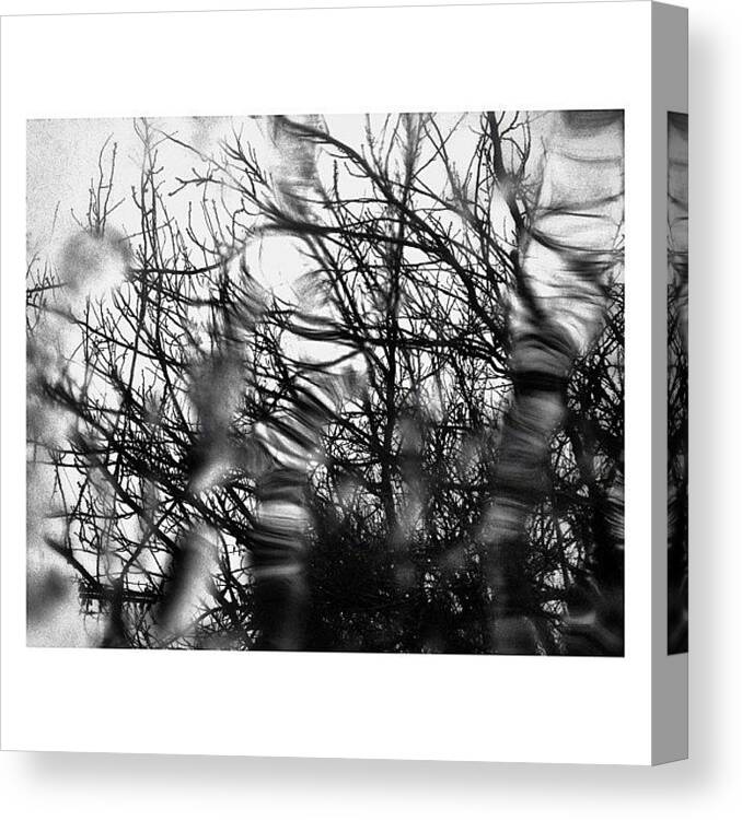 Beautiful Canvas Print featuring the photograph #pdx #portland #picoftheday #1 by Kimberley Kacho
