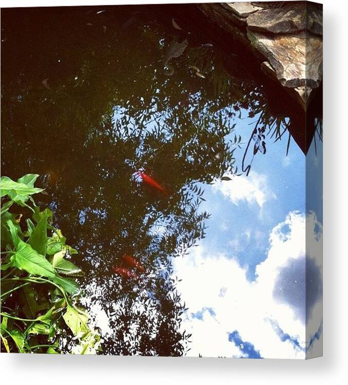 Koi Canvas Print featuring the photograph Pond Reflection #1 by Lori Lynn Gager