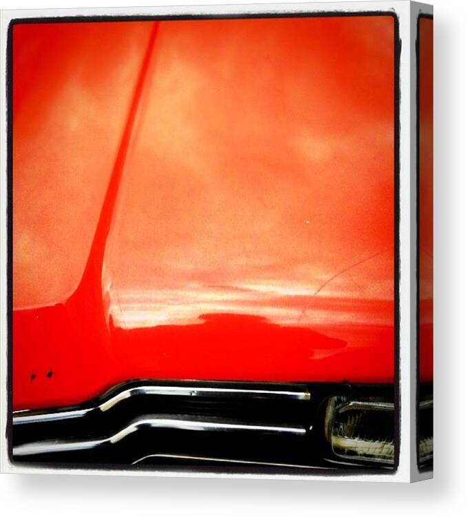 Fine Art Canvas Print featuring the photograph Red Tiger #1 by Florian Divi