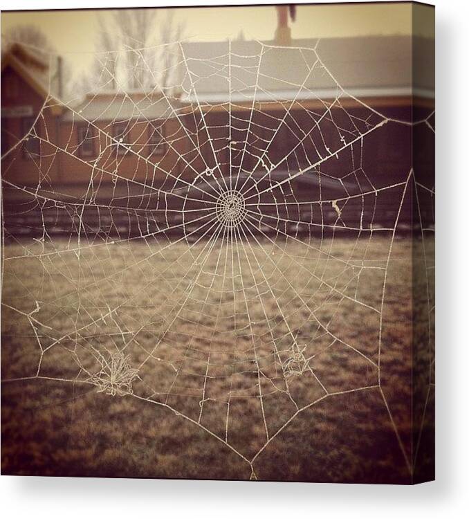 Spider Web Canvas Print featuring the photograph Spider's Frost #1 by Kim Gourlay